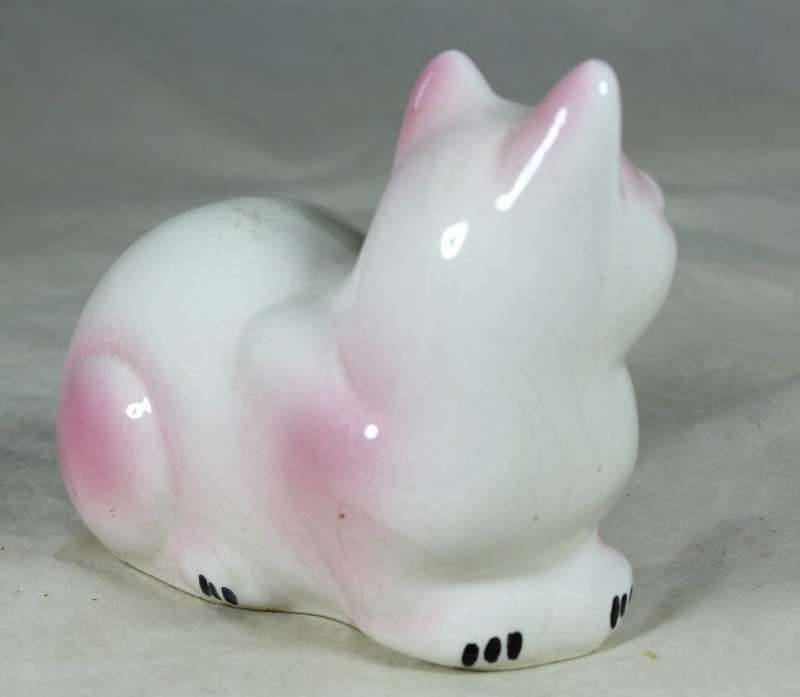 pink & white Cat lying down