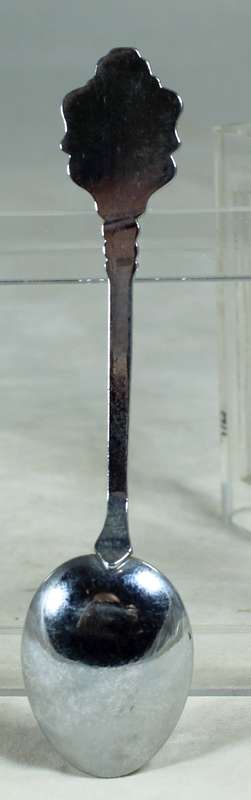 Souvenir teaspoon - Durban