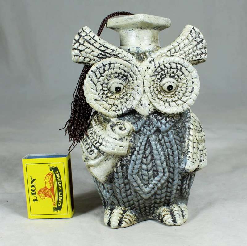 Professor owl