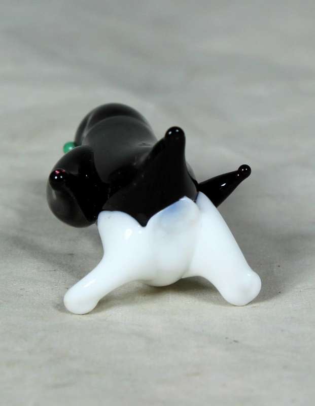 Miniature black and white penguin