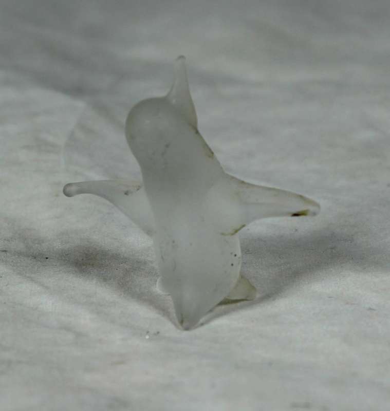 Miniature frosted penguin spotted
