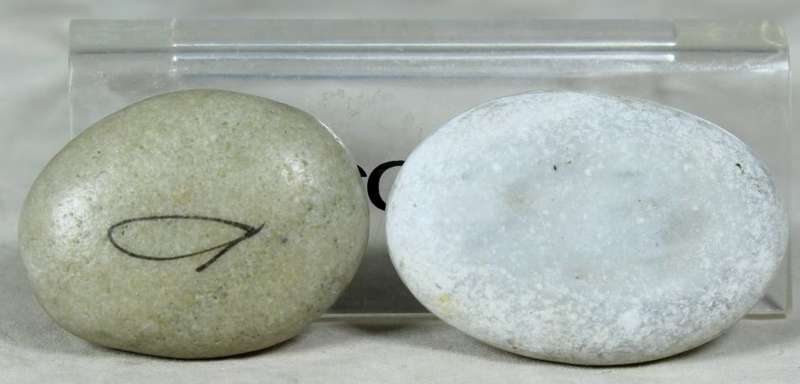 Miniature pebbles with a penguin and a polar bear