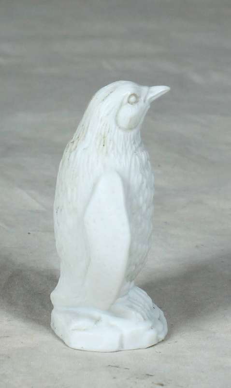 Miniature white penguin