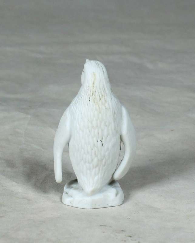 Miniature white penguin