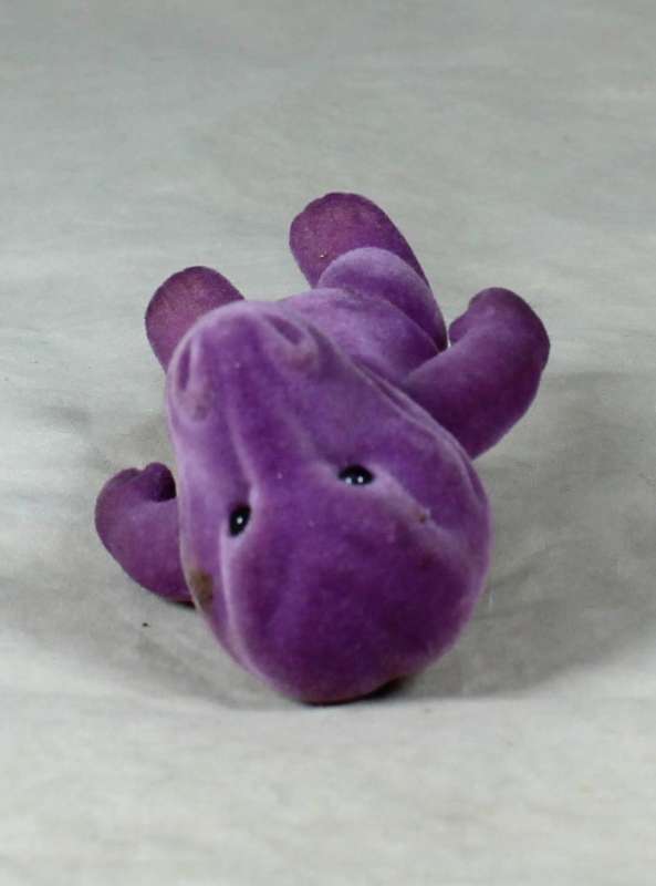 Small furry purple dragon