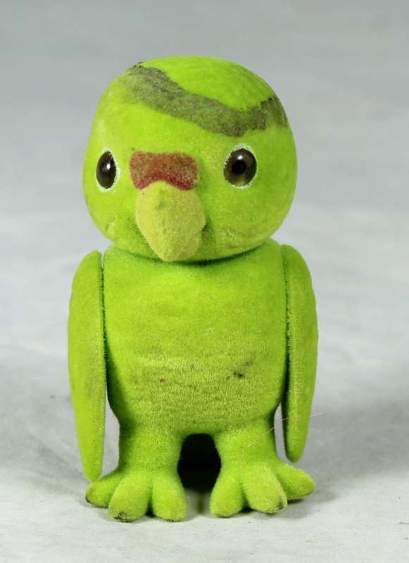 Small furry green parrot