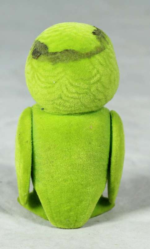 Small furry green parrot