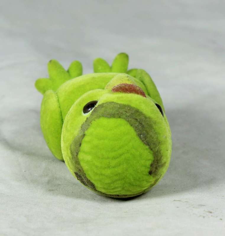 Small furry green parrot