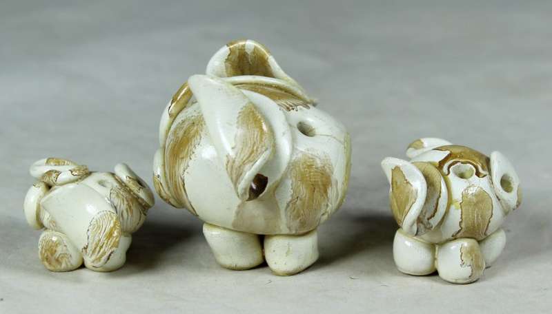 Miniature little pig family