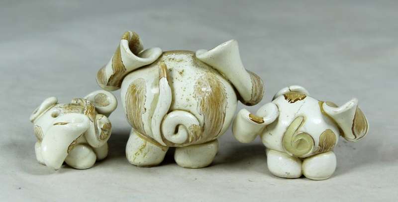 Miniature little pig family