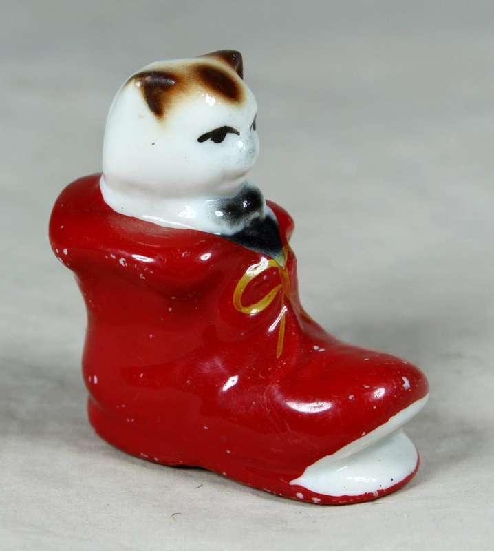Miniature cat in a shoe
