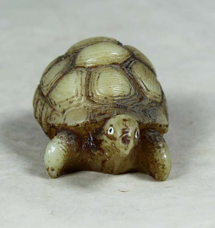 Miniature tortoise