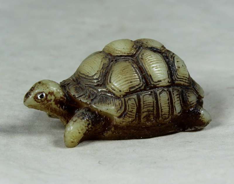 Miniature tortoise