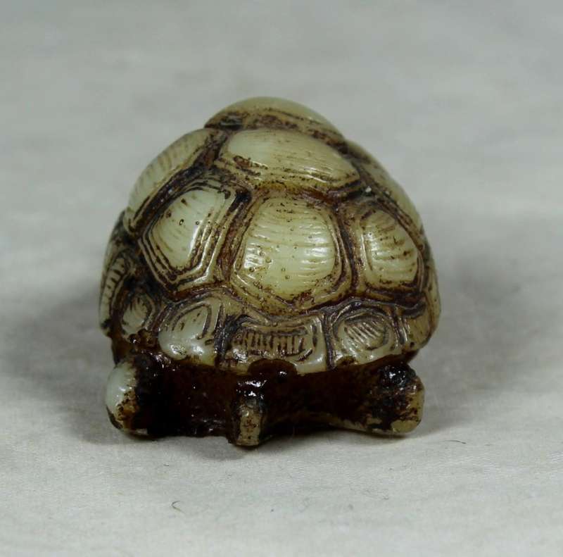 Miniature tortoise