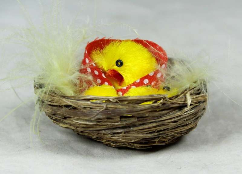 Miniature hen with chicks in a basket