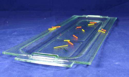 Very large glass sushi serving tray