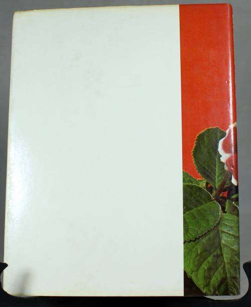 Binnehuise plante