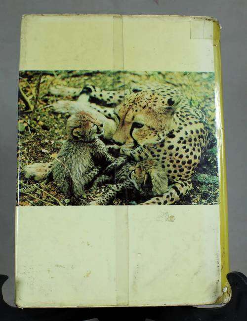 THE SPOTTED SPHINX BY JOY ADAMSON - BID NOW!!