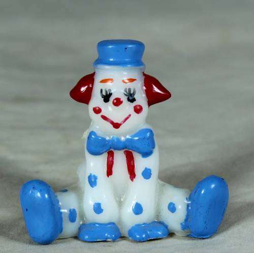 Miniature blue and white clown with red ears