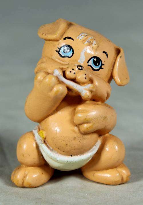 Nappy baby dog with a bone