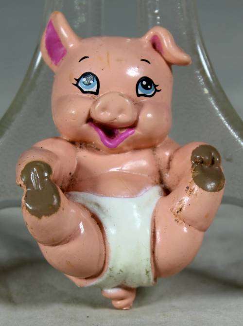 Nappy baby piglet