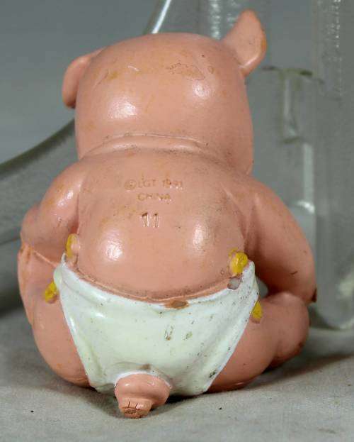 Nappy baby piglet
