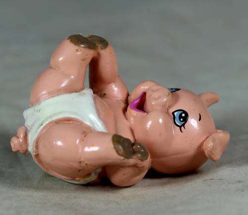 Nappy baby piglet