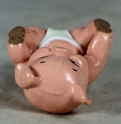 Nappy baby piglet