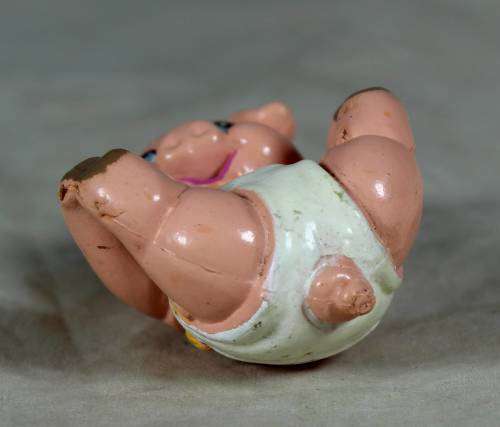Nappy baby piglet