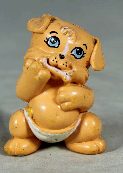 Nappy baby dog with a bone