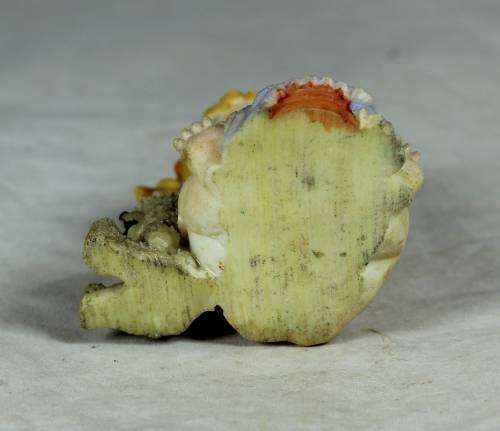Ceramic little girl with her birthday cake