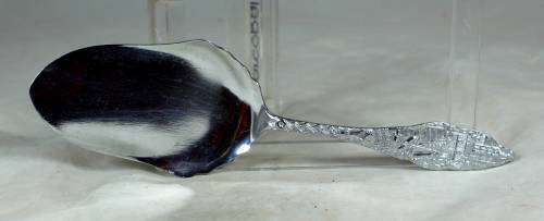 Chrome plated cake lifter