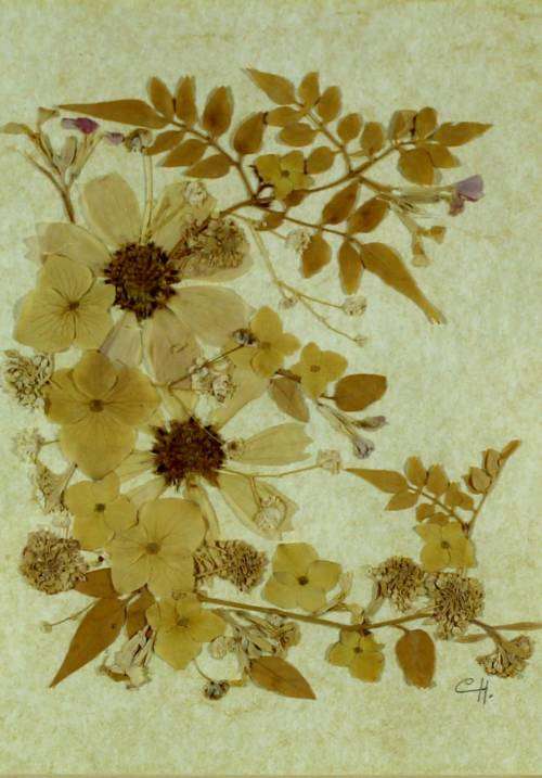 Dried flower arrangement - Signed `CH` - Beautiful!