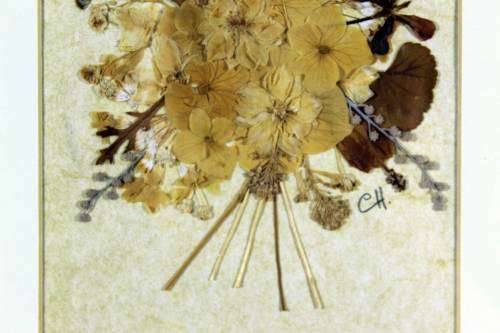 Dried flower arrangement - Signed `CH` - Beautiful!