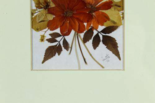Dried flower arrangement - Signed `Betta` - Beautiful!
