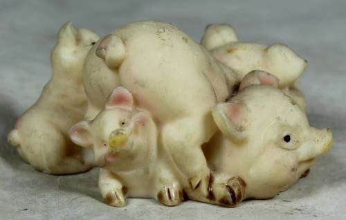 Mother piggy and her babies