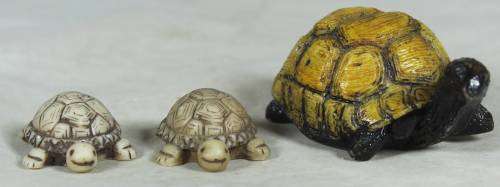 Miniature tortoise mommy with her 2 babies