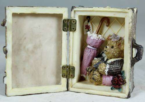 Little bear in a suitcase