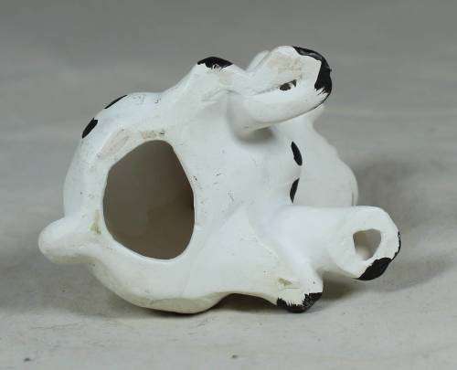 Small Dalmatian puppy