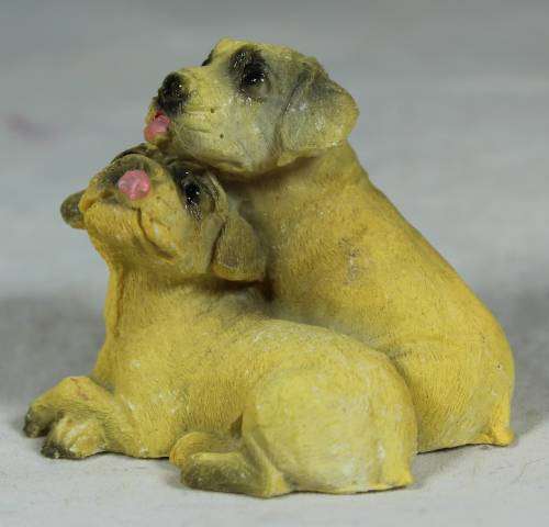 Miniature pair of dogs grooming each other