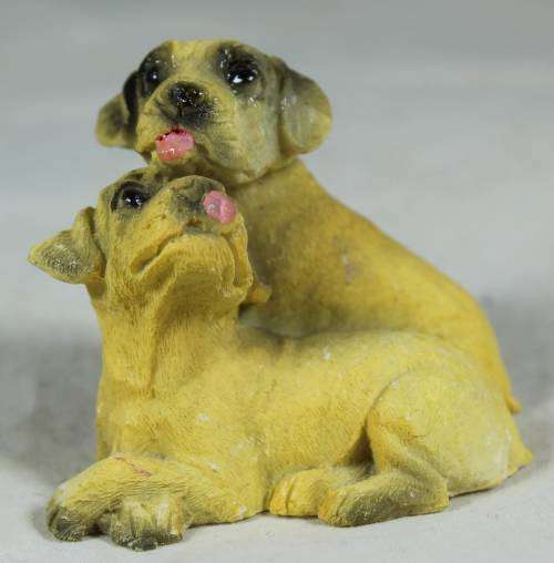 Miniature pair of dogs grooming each other