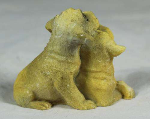Miniature pair of dogs grooming each other