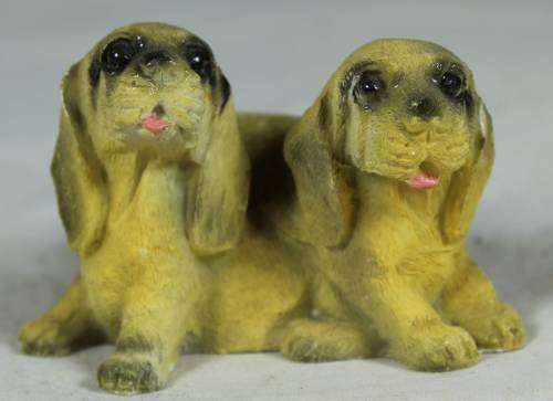 Miniature pair of puppies