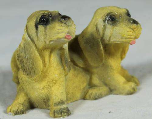 Miniature pair of puppies