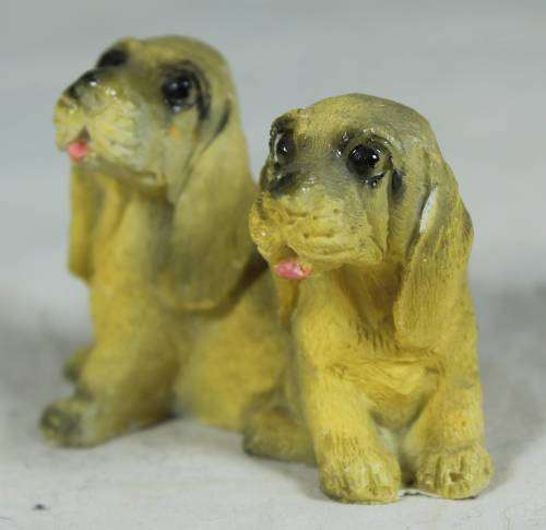 Miniature pair of puppies