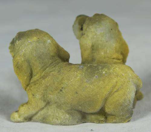 Miniature pair of puppies