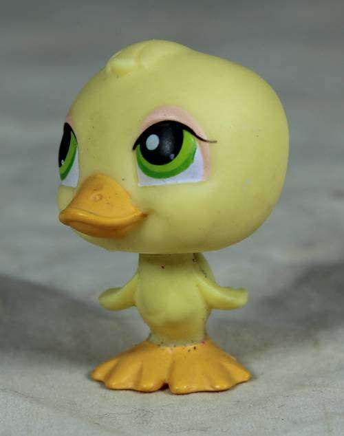 Littlest pet shop with red magnet by Hasbro - Duck with green eyes (2004)