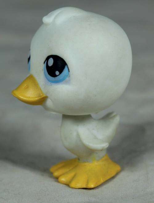 LITTLEST PET SHOP AUTHENTIC RANGE WITH A RED MAGNET(HASBRO 2004)WHITE DUCK SEASIDE CELEBRATION!