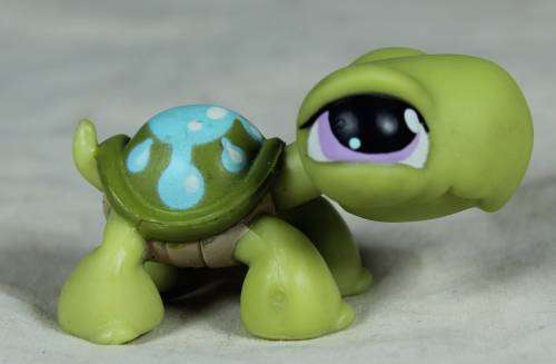 LITTLEST PET SHOP AUTHENTIC RANGE WITH A RED MAGNET(HASBRO 2004)TURTLE LPS149 ADORABLE!