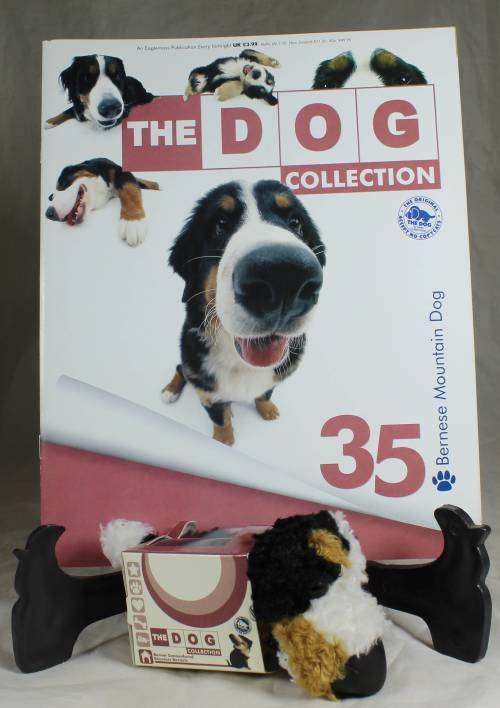The dog artist collection with magazine - Bernese Mountain Dog #35